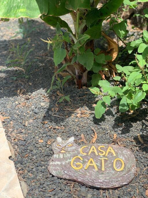 Casa Gato Apartment Corralejo Exterior photo